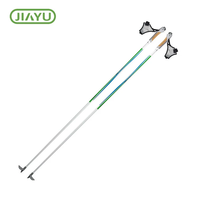 Ski poto mòn nèj